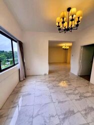 The Cairnhill (D9), Condominium #602912771